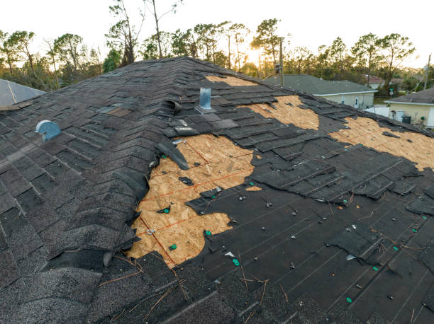 Best Tile Roofing Installation  in University Center, VA
